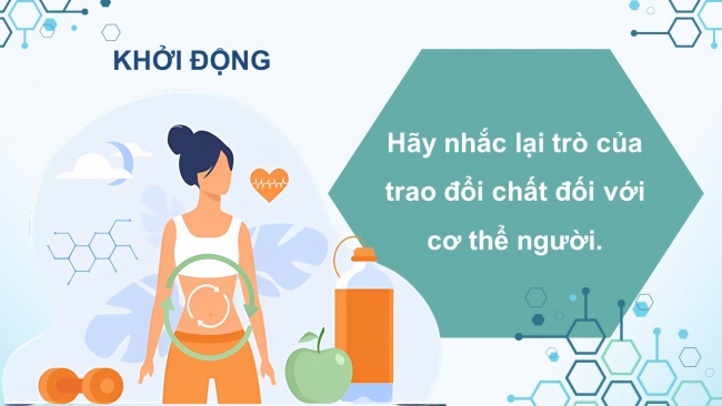 Soạn giáo án điện tử sinh học 11 CTST Bài 2: Trao đổi nước và khoáng ở thực vật (P1)