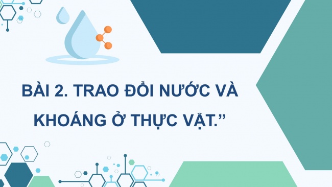 Soạn giáo án điện tử sinh học 11 CTST Bài 2: Trao đổi nước và khoáng ở thực vật (P2)