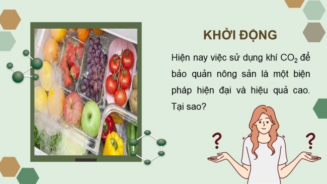 Soạn giáo án điện tử sinh học 11 CTST Bài 6: Hô hấp ở thực vật