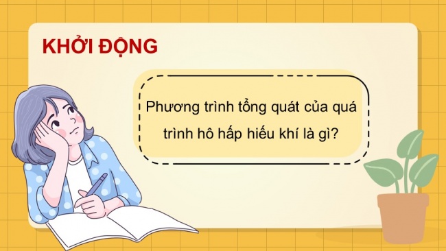 Soạn giáo án điện tử sinh học 11 CTST Bài 7: Thực hành: Một số thí nghiệm về hô hấp ở thực vật