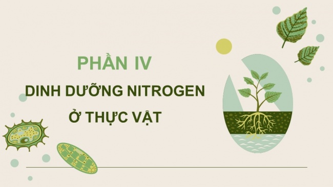 Soạn giáo án điện tử sinh học 11 Cánh diều Bài 2: Trao đổi nước và khoáng ở thực vật (P2)