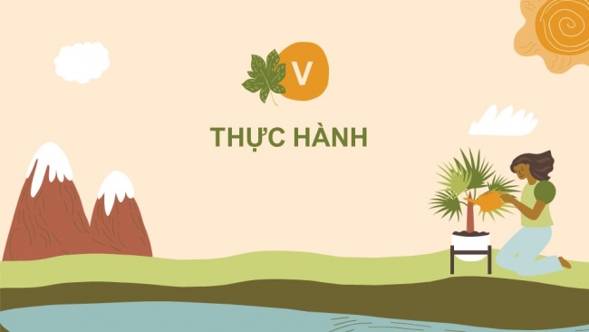 Soạn giáo án điện tử sinh học 11 Cánh diều  Bài 4: Quang hợp ở thực vật (P2)