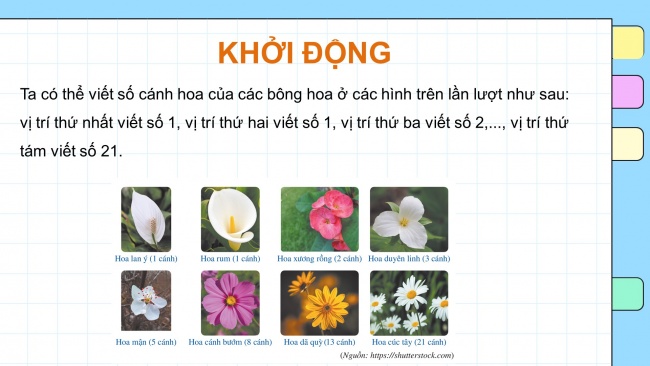 Soạn giáo án điện tử toán 11 Cánh diều Bài 1: Dãy số