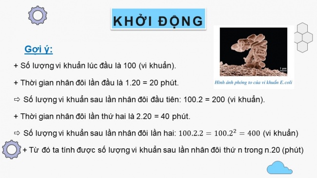 Soạn giáo án điện tử toán 11 Cánh diều Bài 3: Cấp số nhân