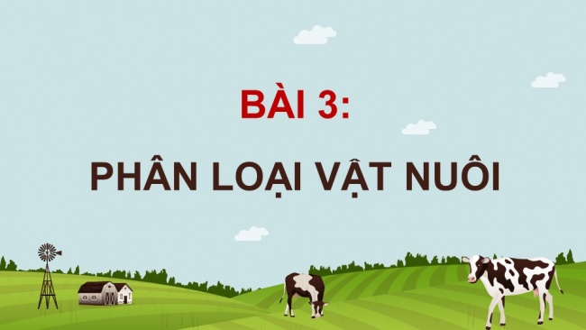 Soạn giáo án điện tử công nghệ chăn nuôi 11 Cánh diều Bài 3: Phân loại vật nuôi