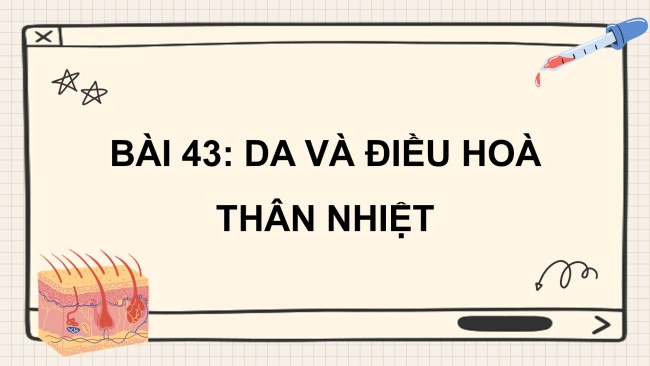 Bài giảng điện tử khoa học tự nhiên 8 chân trời sáng tạo