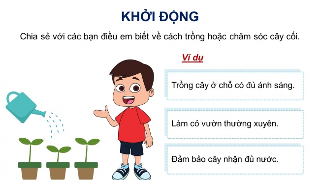 Soạn giáo án điện tử tiếng việt 4 KNTT Bài 10 Đọc: Tiếng nói của cỏ cây