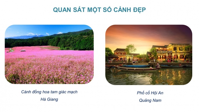 Soạn giáo án điện tử mĩ thuật 4 KNTT Chủ đề 3: Cảnh đẹp quê hương