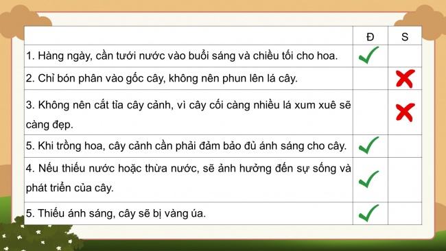 Soạn giáo án điện tử công nghệ 4 KNTT bài 6: Chăm sóc hoa, cây cảnh trong chậu