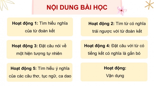 Soạn giáo án điện tử tiếng việt 4 CTST CĐ 1 Bài 8 Luyện từ và câu: Mở rộng vốn từ Đoàn kết