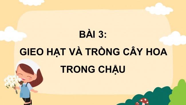 Soạn giáo án điện tử công nghệ 4 CTST Bài 3: Gieo hạt và trồng cây hoa trong chậu