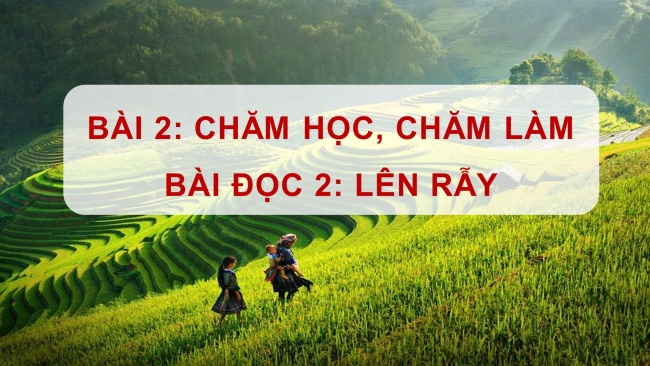 Soạn giáo án điện tử tiếng việt 4 cánh diều Bài 2 Đọc 2: Lên rẫy