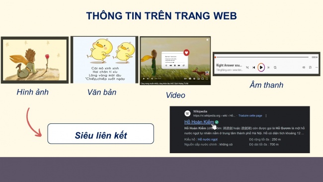 Soạn giáo án điện tử tin học 4 cánh diều Chủ đề B Bài 1: Các loại thông tin chính trên trang web