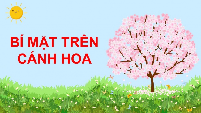 Soạn giáo án điện tử âm nhạc 4 cánh diều Tiết 4: Ôn tập nhạc cụ; Vận dụng