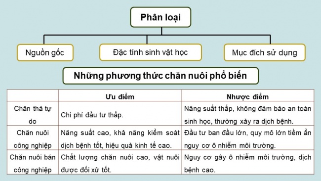 Soạn giáo án điện tử Công nghệ chăn nuôi 11 KNTT Bài 2: Vật nuôi và phương thức chăn nuôi