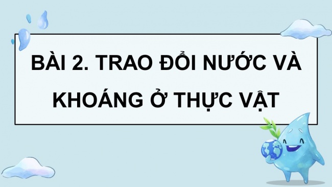 Soạn giáo án điện tử sinh học 11 KNTT Bài 2: Trao đổi nước và khoáng ở thực vật