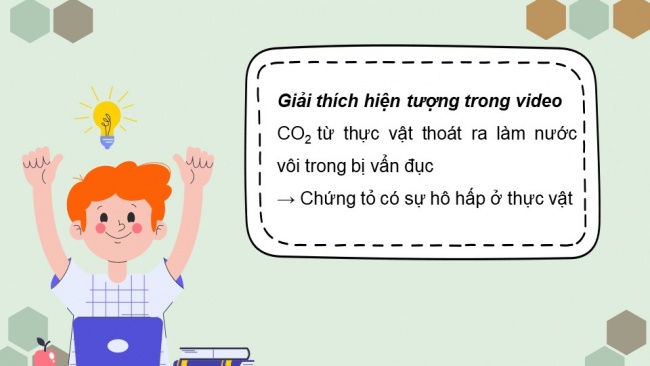 Soạn giáo án điện tử sinh học 11 KNTT Bài 6: Hô hấp ở thực vật (P1)