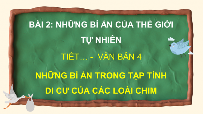 Soạn giáo án điện tử Ngữ văn 8 CTST Bài 2 Đọc 4: Những điều bí ẩn trong tập tính di cư của các loài chim