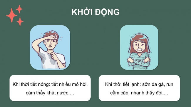 Bài giảng điện tử sinh học 8 cánh diều