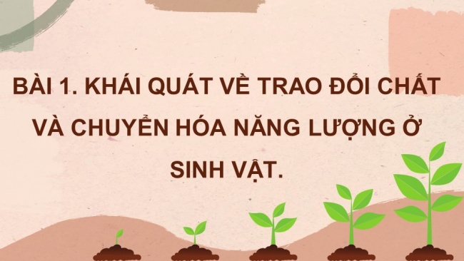 Soạn giáo án điện tử sinh học 11 CTST Bài 1: Khái quát về trao đổi chất và chuyển hoá năng lượng ở sinh vật