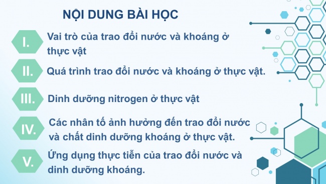 Soạn giáo án điện tử sinh học 11 CTST Bài 2: Trao đổi nước và khoáng ở thực vật (P2)