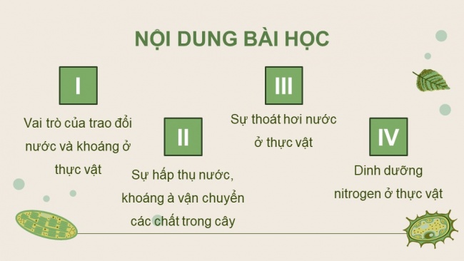 Soạn giáo án điện tử sinh học 11 Cánh diều Bài 2: Trao đổi nước và khoáng ở thực vật (P1)