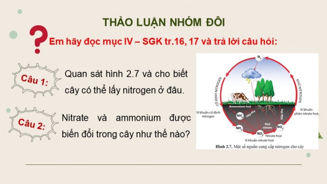 Soạn giáo án điện tử sinh học 11 Cánh diều Bài 2: Trao đổi nước và khoáng ở thực vật (P2)