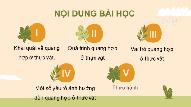 Soạn giáo án điện tử sinh học 11 Cánh diều Bài 4: Quang hợp ở thực vật (P1)