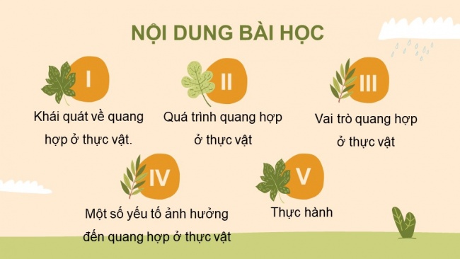 Soạn giáo án điện tử sinh học 11 Cánh diều  Bài 4: Quang hợp ở thực vật (P1)