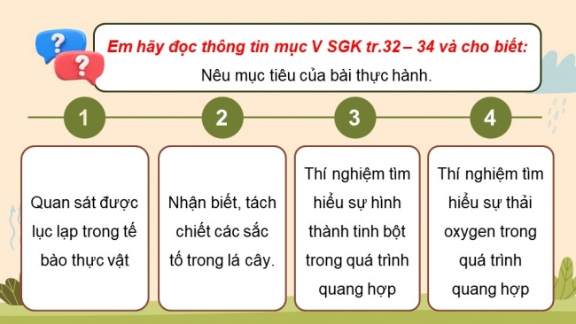 Soạn giáo án điện tử sinh học 11 Cánh diều  Bài 4: Quang hợp ở thực vật (P2)