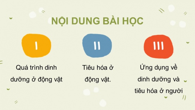 Soạn giáo án điện tử sinh học 11 Cánh diều Bài 6: Dinh dưỡng và tiêu hoá ở động vật (P1)