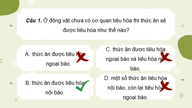 Soạn giáo án điện tử sinh học 11 Cánh diều  Bài 6: Dinh dưỡng và tiêu hoá ở động vật (P2)