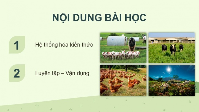 Soạn giáo án điện tử công nghệ chăn nuôi 11 Cánh diều: Ôn tập chủ đề 1