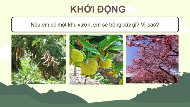 Soạn giáo án điện tử tiếng việt 4 KNTT Bài 27: Đọc Nếu em có một khu vườn