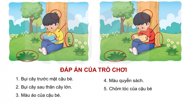 Soạn giáo án điện tử tiếng việt 4 KNTT Bài 3 Đọc: Anh em sinh đôi