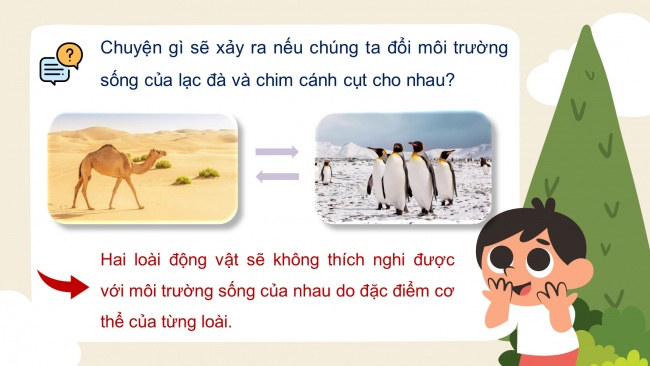 Soạn giáo án điện tử tiếng việt 4 KNTT Bài 5 Đọc: Thằn lằn xanh và tắc kè