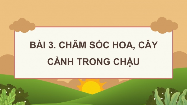 Soạn giáo án điện tử công nghệ 4 KNTT bài 6: Chăm sóc hoa, cây cảnh trong chậu