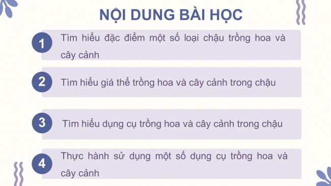 Soạn giáo án điện tử công nghệ 4 CTST Bài 2: Vật liệu, dụng cụ trồng hoa và cây cảnh trong chậu