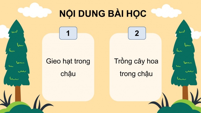 Soạn giáo án điện tử công nghệ 4 CTST Bài 3: Gieo hạt và trồng cây hoa trong chậu