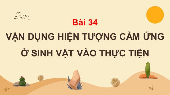 Bài giảng Powerpoint khoa học tự nhiên 7 kết nối tri thức