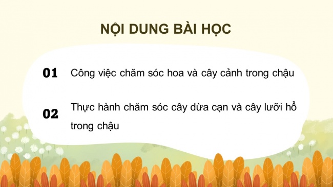 Soạn giáo án điện tử công nghệ 4 CTST Bài 5: Chăm sóc hoa, cây cảnh trong chậu