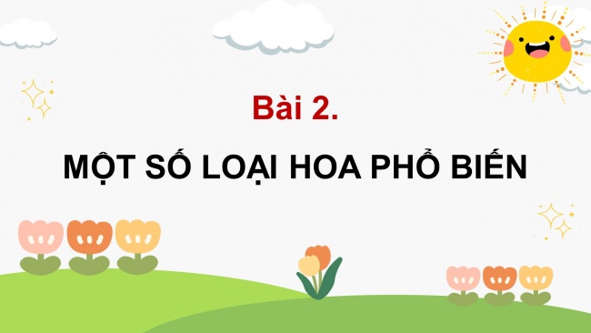 Soạn giáo án điện tử công nghệ 4 cánh diều Bài 2: Một số loại hoa phổ biến