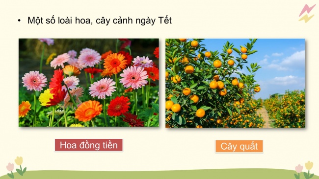 Bài giảng điện tử công nghệ 4 cánh diều