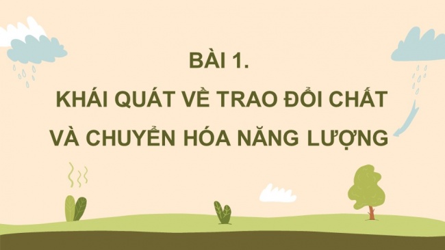 Soạn giáo án điện tử sinh học 11 KNTT Bài 1: Khái quát về trao đổi chất và chuyển hóa năng lượng