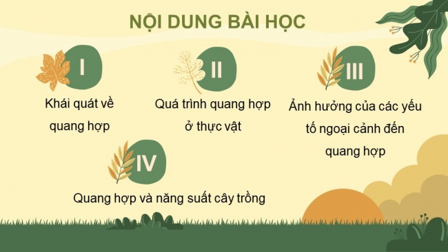 Soạn giáo án điện tử sinh học 11 KNTT Bài 4: Quang hợp ở thực vật