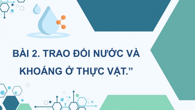 Soạn giáo án điện tử sinh học 11 CTST Bài 2: Trao đổi nước và khoáng ở thực vật (P1)