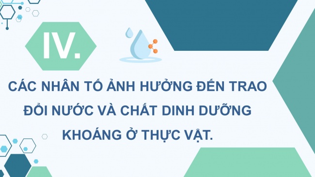 Soạn giáo án điện tử sinh học 11 CTST Bài 2: Trao đổi nước và khoáng ở thực vật (P2)