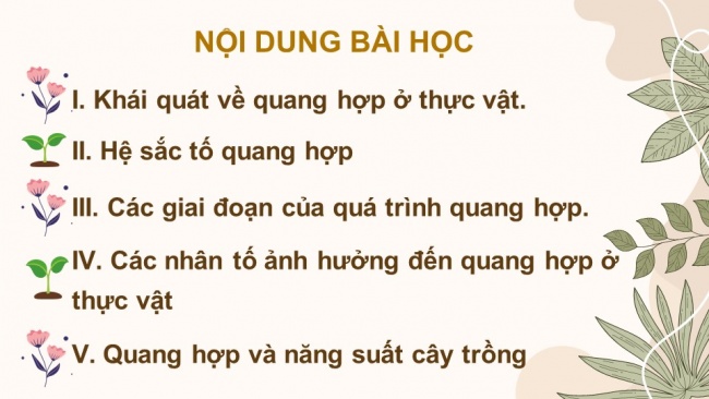 Soạn giáo án điện tử sinh học 11 CTST Bài 4: Quang hợp ở thực vật (P1)