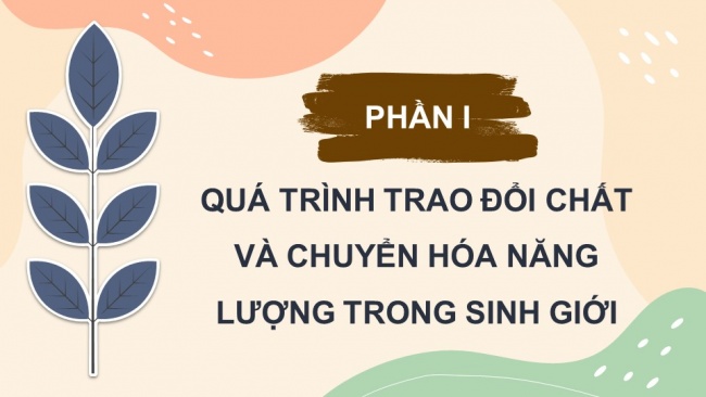 Soạn giáo án điện tử sinh học 11 Cánh diều Bài 1: Khái quát về trao đổi chất và chuyển hoá năng lượng