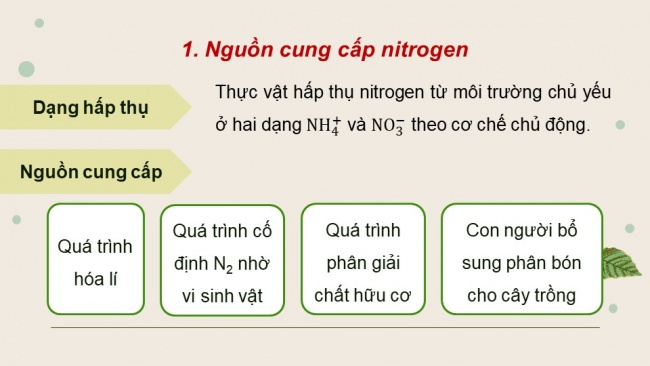 Soạn giáo án điện tử sinh học 11 Cánh diều Bài 2: Trao đổi nước và khoáng ở thực vật (P2)